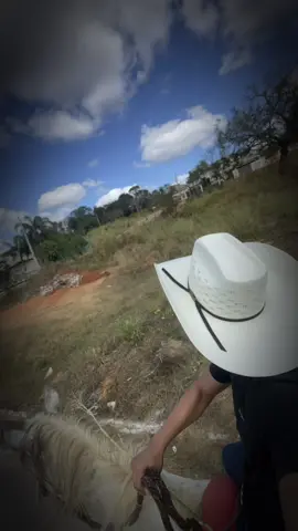 MEU VELHO GRANDE AMIGO😍 lembranças do meu vovô CAIÇARA - - #cavalo #fazendeiro #omeninododoce 
