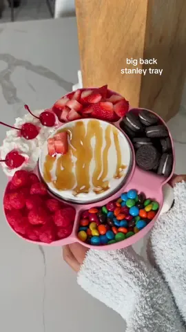 ASMR making a big back stanley tray 🍨 sometimes you just have to give in to the cravings 🙂‍↕️ tray, boot, & charm on my SF under ‘stanley’ 🫶🏼 #stanleysnacktray #snacktray #stanleyicecream #desserttray #stanleyaccessories 