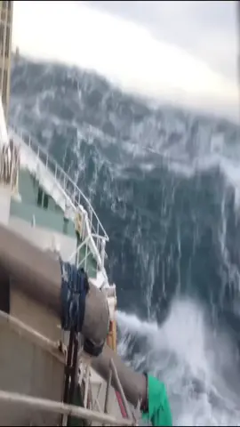 Scottish Pelagic Fishing Vessel in North Sea Storm 🌊 #ship #vessel #scary #nature #northsea #storm #angry 