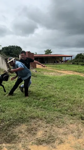 Levamos chico na fazenda kkk
