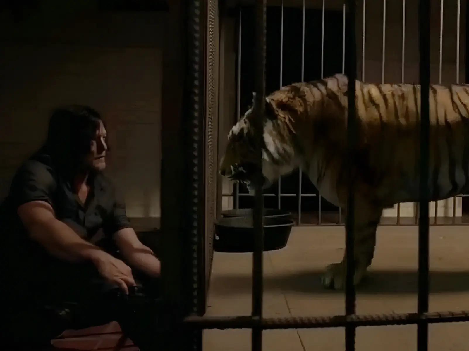 daryl and shiva <3 #daryldixon #twd #shivatwd #amcthewalkingdead #thewalkingdead 