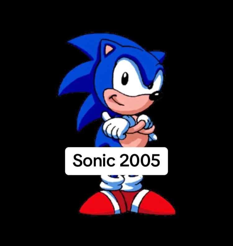 #sonicthehedgehog #2005 #2024 #amythehedgehog🌸💕 #fyp #foryoupage #justforyou #viral 