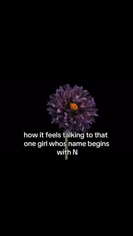 🫶🏽🫶🏽 #fyp #fypage #flowers #aesthetic 