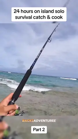 Part 2 #survival #Outdoors #catchandcook #fishing #viral 