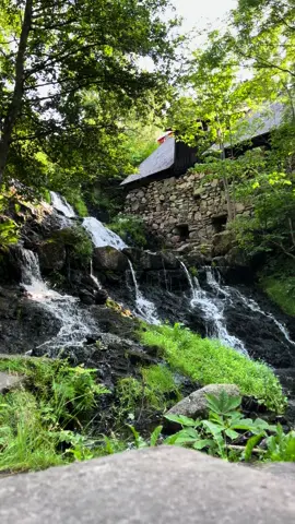 📍Söder om Gränna ligger Röttle by. Det är en sommaridyll med två anrika kvarnar, ett vattenfall och en småbåtshamn.#jönköping #sweden🇸🇪 #swedentiktok #fyp #scandinavia #sverige #sweden #naturevibes #nature #naturelover #waterfall 