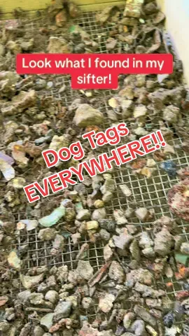 Sorry for lack post yall im finna hop back on the grind. #fyp #fypp #viral #savinghistory #relichunting #artifacts #metaldetecting #wwii #ww2 #wwiihistory #Outdoors #discover #explore 