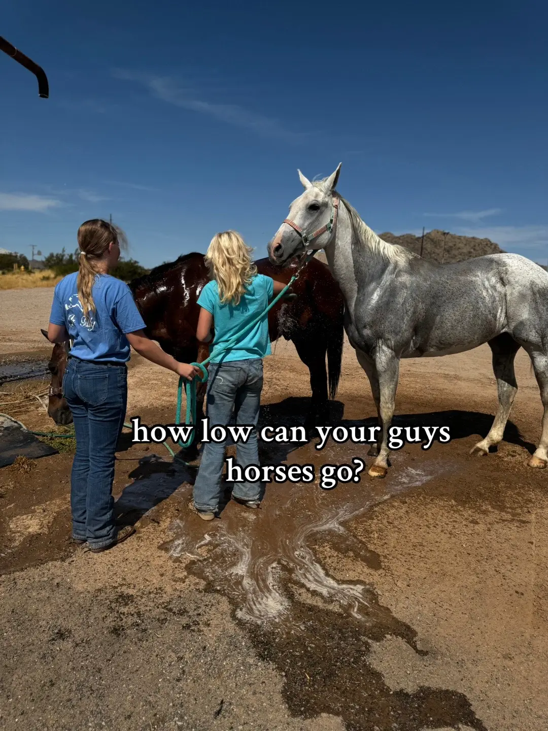 @🛢️Caylee and rain!🛢️ #fyppppppppppppppppppppppp #barrelracer #fypppppp #barrelracing #strideawayroblox #equestrianstyle #equestrian 