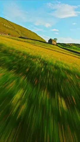 Summers Evening 🌄 #fpv #fpvdrone #fpvlife #nature #scenic #goldenhour #cinematicfpv #travel #yorkshiredales #Summer 
