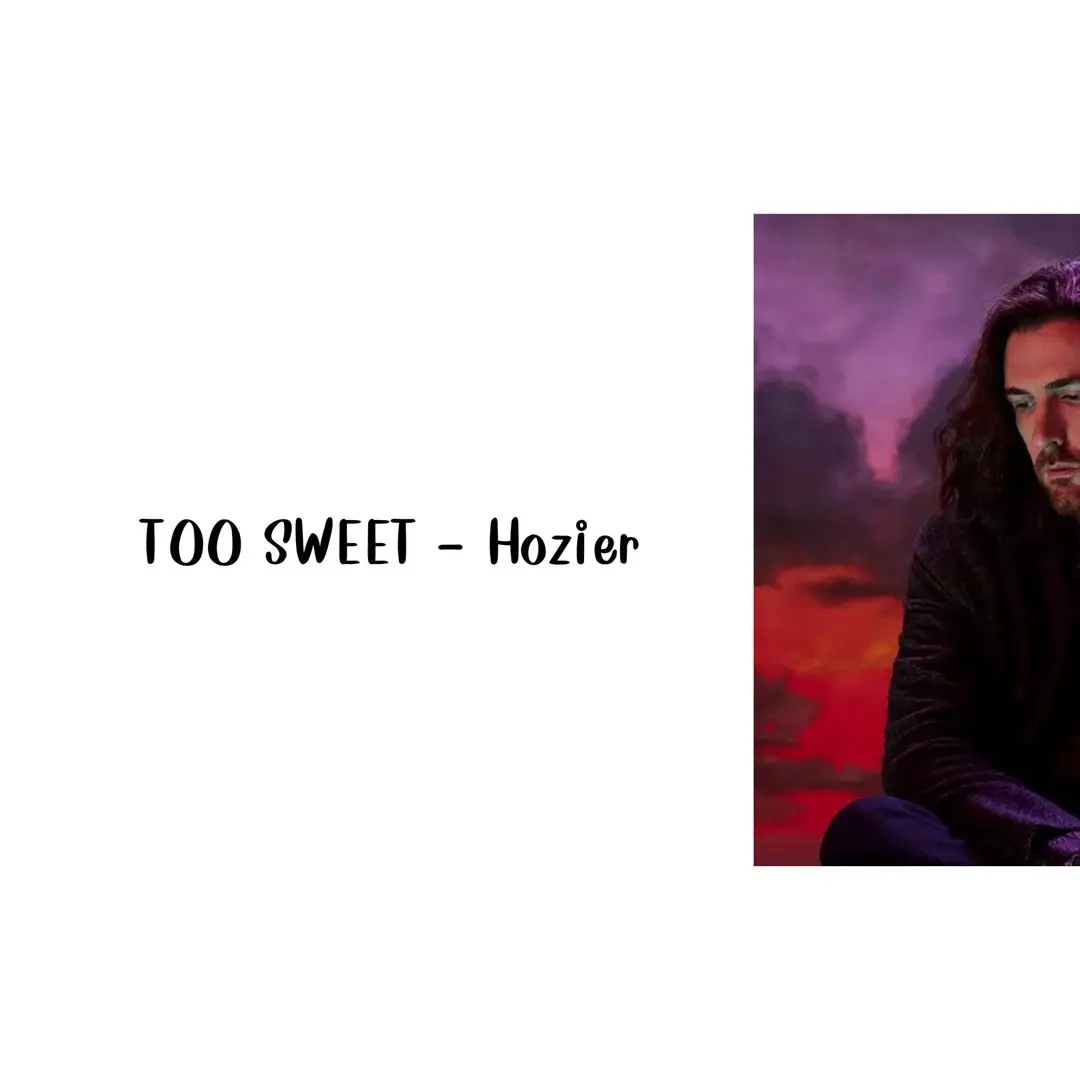 #songlyrics #toosweet #hozier #tiktokviral #fyp 