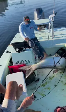 ‘I don’t get in a boat too often. This is what happens when I do. First jump right into the boat. I’ll stick to plastic boats 😂 *Fish was eventually released hopefully recovers’ - @pushinwater_kayakcharters  Name: Brian Nelli AKA @pushinwater_kayakcharters  About: South Florida Kayak Fishing Guide since 2010!  Website: www.tckayakfishing.com Aclassic!!  #fishing #fish #fishinglife #bluewater #nature  #fishingislife #angler #fisherman #fishingtrip #tuna #fishingaddict #bigfish  #saltwaterfishing #fishingdaily #fishon #sea #aclassic #diehard #diehardfisho #kayak #kayakfishing 