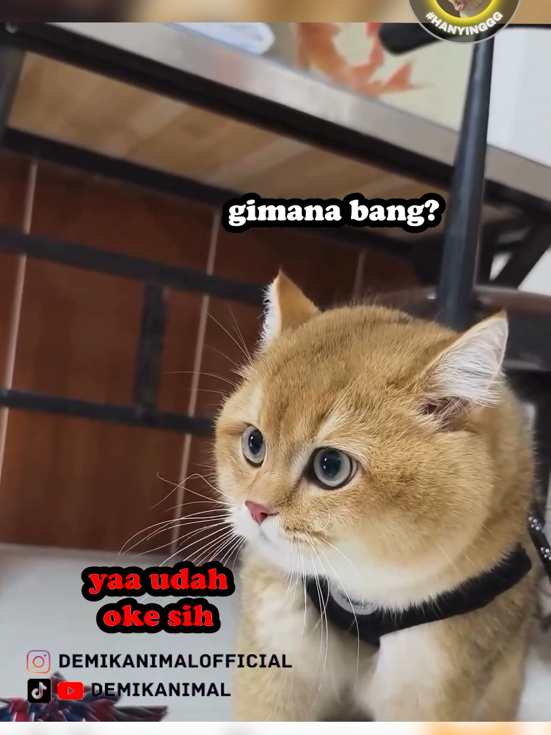 RIZKY FEBIAN #fyp #foryou #foryoupage #foryourpage #dubbing #dubbinglucu #dubbinghewan #dubbingbinatang #dubbingindonesia #demikanimal #demikanimalofficial