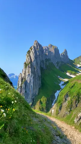 📍 Saxer Lücke, Switzerland 🇨🇭 Follow for daily Swiss Content 🇨🇭 📌 Save this for your (next) trip to Switzerland 🇨🇭 🎥 by: @swisswoow  #saxerlücke #appenzell #switzerland #Hiking #hoherkasten #visitswitzerland #schweiz #appenzellerland #mountains #myswitzerland #inlovewithswitzerland #swissalps #berge #exploretocreate #swiss #landscapephotography #landscape #alps #swissmountains #wanderlust #grindelwald #moodygrams #wandern #bollenwees #lifeofadventure ##lauterbrunnen #interlaken #berneroberland #iloveswitzerland