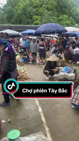 Mời các bác đi chợ phiên Tây Bắc với em nha. #ngochoaitaybac #duoclieuquy #duoclieutaybac #suckhoe #laichau