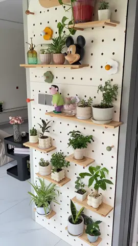 Decor thêm cây cối cho nhà thêm xanh #decor #dammedecor #trangtrinhacua #tiktok #tiktokshop #medecor #Home #homedecor #phongngudep #nhadep #noithat #xuhuong #trangtriphongngu #xuhuongtiktok #phongdep #yeubepnghiennha #decoration #decorxinh #homedesign #goodvibes #nghienxemdecor #foryou #fyp  