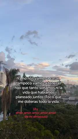 Ay amor,amor de mi almaaa❤️‍🩹. #paratii #fypage #musica #despechovallenato #silvestredangond #ayamor #vallenatos 