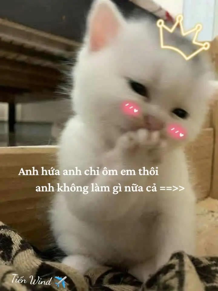 #camxucmoingay #arismusic #thinhhanhtiktok #inlove #thinhhanh #tamtrang #noinaycoanh🙆 #huongveem #arismusic #hashtag @mờ anhh🦖 