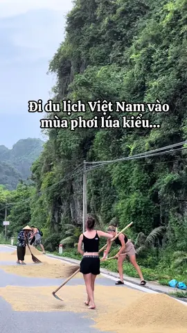 Đi du lịch Việt Nam vào mùa phơi lúa kiểu…