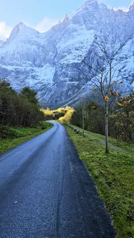 A walk in the north #trollveggen #trollwall #norway #trollstigen #epicscene #norwegen #cinematic #travel #drive #roadtrip #åndalsnes #geiranger #mountain #winteriscoming #norwegia #vacation #landscape #beautifuldestinations #amazingplaces #north #viral #fyp #foryou #noruega 