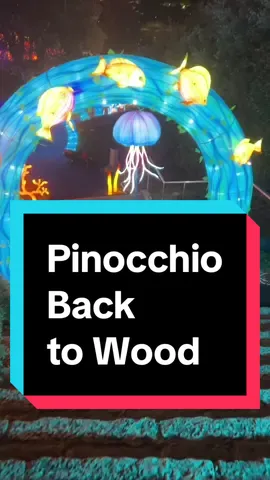While in Rome with the kids, we had a free night and our hotel recommended this nightime activity. This is Wonderland created an amazing interactive event in Rome called Pinocchio Back to Wood where the kids were encouraged to run, play and interact with the bright and colorful surroundings.  #creatorsearchinsights #wheninrome #romewithkids #whattodoinrome #pinnochio 