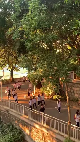 “Thời gian ba năm tổng cộng 1050 ngày, 4200 tiết học, 3150 tiếng, nghe thôi thì thật khiến người ta phải giật mình. Thật ra thì, gió vừa thổi, thứ đọng lại chỉ còn là ký ức. Đợi đến ngày tốt nghiệp, khoảnh khắc ta vừa bước chân ra khỏi cổng trường ấy, lần nữa quay lại, chúng ta đã là khách rồi.” (Dịch bởi: Lam - 蓝) Nguồn video: xiaohongshu  #studywithme #study #thanhxuan #thanhxuanvuontruong #thanhxuancoban3 #dongluchoctap #cap3  #donglucmoingay✨ #hoanghon #quoteoftheday  #quotes  #txvt #caokhaotrungquoc #truonghoc  #duhoctrungquoc #timlaibautroi910 #LearnOnTikTok 