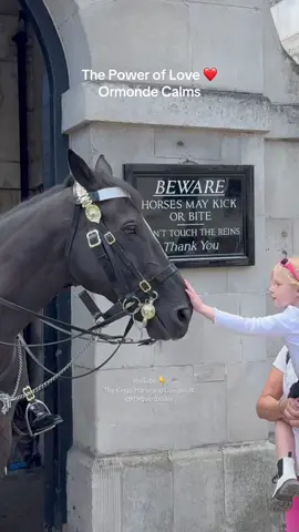 The Power of Love ❤️ Ormonde Calms  #foryou #foryoupage #fyp #kingsguard #uk #london #horse #live #troopingthecolour 