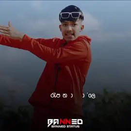 ADARE VISAKNAM ( ආදරේ විසක්නම් )  MUSIC VIDEO#foryoupage #lalayililayilai #srilanka #bannedstatus #viral #trending #aderevisaknam #ආදරේ_විසක්නම්_විෂ_නසන්න_ඕනි_විසේමලූ 