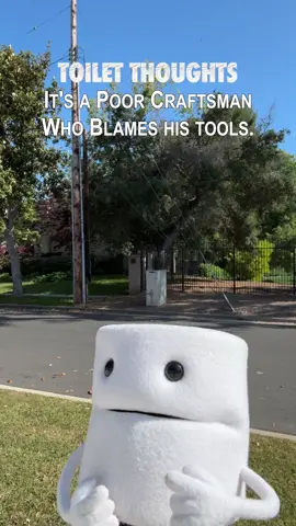 It's a poor craftsman who blames his tools. Toiley T. Paper #toiletthoughts #thoughtoftheweek 11