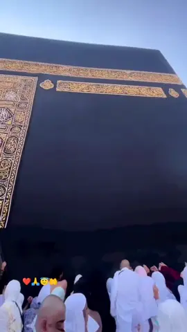 ♥️🙏😇🤲♥️♥️♥️♥️♥️ #hajj #dua #makkahmadinah🕋 #🤲 #foryou #viral #islamic_video #trending #fyp #foryoupage #صلی_اللہ_علیه_وآله_وسلم #♥️ #ashi #1millionaudition #growmyaccount 