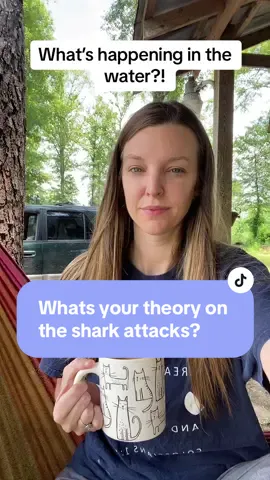 Whats your theory? #sharkattacks #shark #sharkattack #watchthewaters #florida #water #oceanlife #hottopics #trending #fyp #foryoupage #askthepeople 