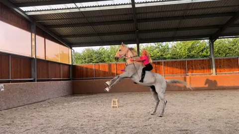 💗#Notalert #myhorse #loveyou 