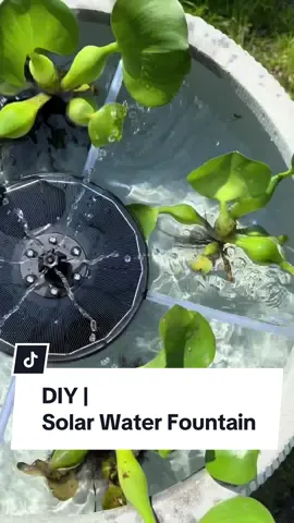 DIY Solar Water Fountain 🌱💦 #DIY #summertime #waterfountain 