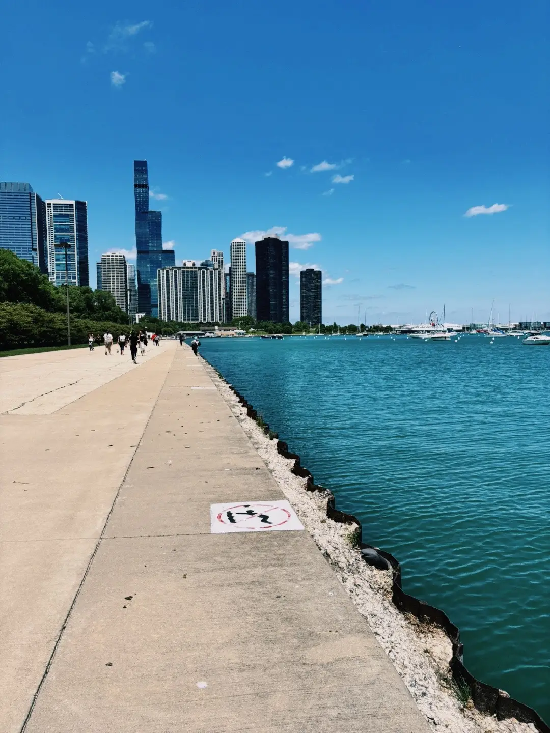 Ms. bradshaw never lied, random dump. #fypシ゚viral #chicagotiktok #foodtiktok 