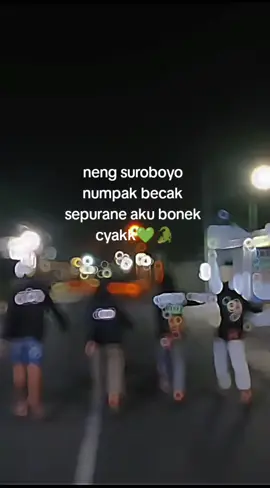 Kulo bonek! #dendeniaebos  #persebaya1927  #akuwongmucak🔥  #pembangkang  #gariskeras  #lamongan24jam 