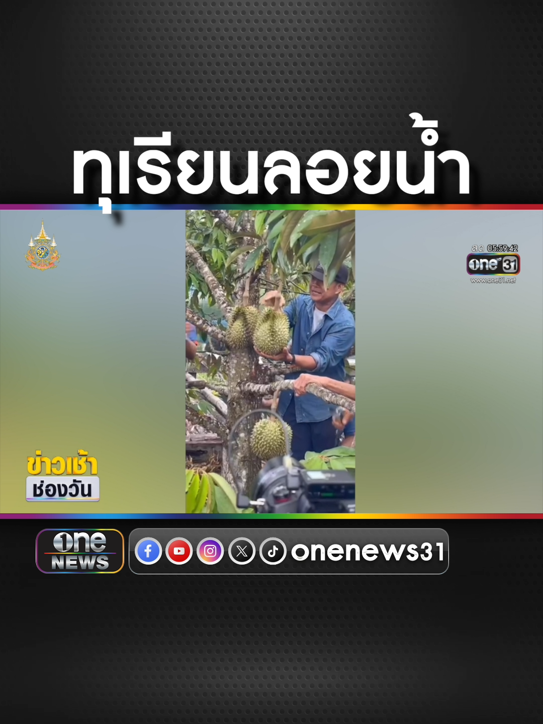 #ทุเรียน ลอยน้ำ ต้นแรกของโลกออกลูกแล้ว  #ข่าวช่องวัน #ข่าวtiktok #สํานักข่าววันนิวส์  พาราแคพ ยาเม็ดบรรเทาปวดลดไข้ พาราเซตามอล 500 มิลลิกรัม แผงสีเขียว