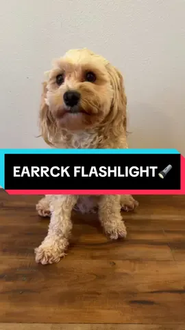 Makes a great Father days gift idea❤️ Must have product at all times. #dadsoftiktok#daddy#father#FathersDay#giftideas#gift#gifts#giftforhim#tiktoksummersale#dad#dadlife#camping#Outdoors#flashlight#emergency#fishing#waterproof#shop#