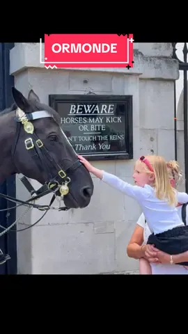 Most Tourist who approached This King’s Horse was deliberately Goading him to b!te but one Young Tourist set good example! #fyp #foryou #foryoupage #horse #london #live #kingsguard #horseguardsparade 
