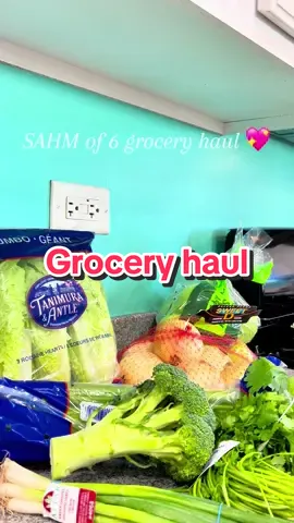 Hello my lovelies. 🥰 Did some grocery shopping today & wanted to show y’all what I got. 😚 I would love to film a “Restock my pantry with me” video next. 🩷✨😍 #groceryshopping #groceries #walmart #sahm #MomsofTikTok #haul #food #pantry #kitchen #restock #FYP