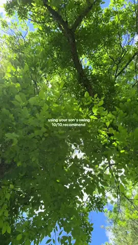 I’ve missed having a swing under these trees! We recently got him a saucer swing and it’s so relaxing to go on and look up at the trees and sun! #fyp #viral #sunshine #sunny #nature #relaxing #relax #swinging #enjoylife #natureathome #nature #naturevibes 