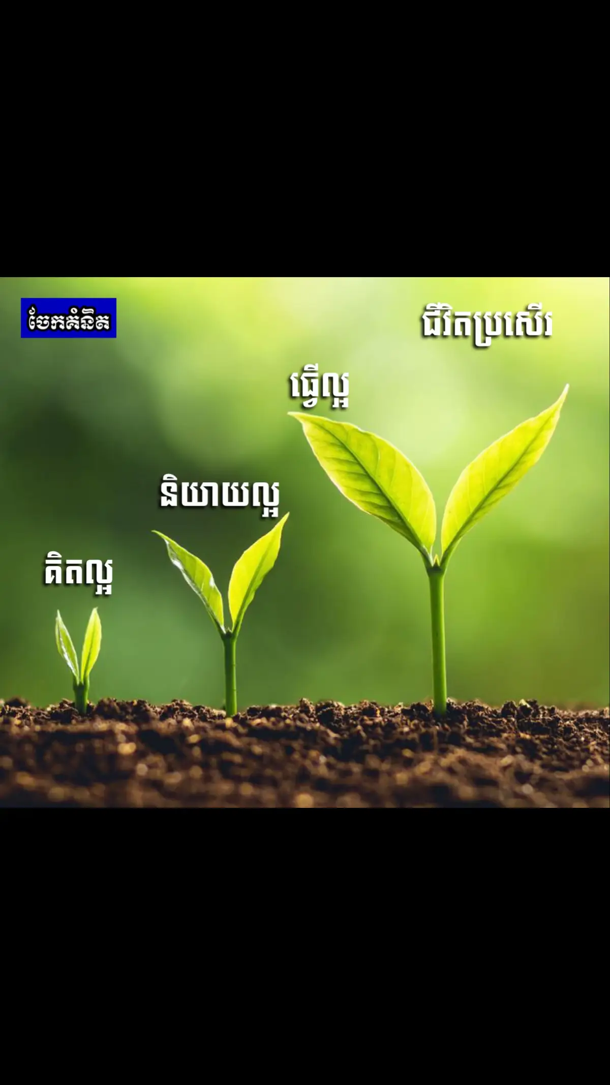 #motivation #speaker #ទស្សនវិជ្ជា #Philosophy #knowledge #fyp #foryou #viral #foryoupage #tiktok #capcut #khmer #life #gam #sorot #Love 