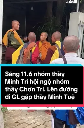 sáng 11.6 thầy Minh Trí hội ngộ thầy Minh Thành, Chơn Trí #thầyminhtue #minhtue #thichminhtue #thayminhtri #thaynhungo #thaychontri #thayminhthanh 