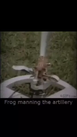 man will see this and say hell yeah #memes #war #military #frog #cod #battlefield #fyp #foryourpagе #foryoupage #meme #trends #trend #trending #trending #capcut #viral #combat #frogs #animals #bass #phonk 