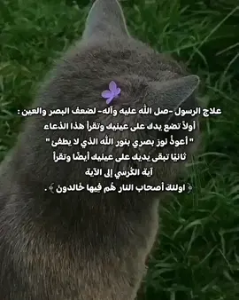 يقرأ الدعاء واية الكرسي بعد اداء الصلاة الواجبة مع تسبيحة الزهراء -عليها السلام- ودعاء الفرج . #ادعية #اية_الكرسي #القرآن_الكريم #ضعف_البصر #اللهم_صل_على_محمد_وآل_محمد #قصائد_حسينية #شيعة_علي #يامحمد #ياعلي #ياحسين #النجف_الاشرف #كربلاء_المقدسة #لا_اله_الا_الله #oops_alhamdulelah #استغفرالله #لاحول_ولا_قوة_الا_بالله  #اللهم_عجل_لوليك_الفرج #العراق #tiktok #fyp #foryou #foryoupage #fyppppppppppppppppppppppp #fypシ゚viral #viral #viraltiktok 