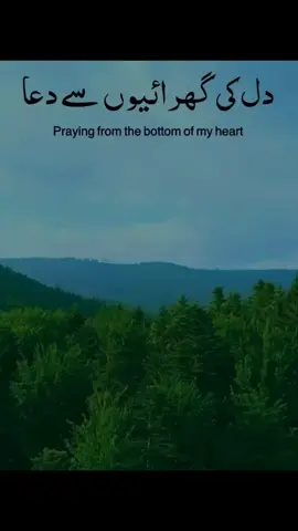 praying from the bottom of my heart ❤️#quran #quran_alkarim #quranrecitation #viral #prayer #islamic #islamic_video #fyp #fypage #trending #foryou #foryoupage 