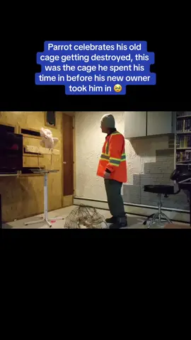 👏🏻 #animalshavefeelingstoo 