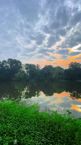 একটি নতুন সকাল তোমাকে নতুন কিছু দেওয়ার ক্ষমতা রাখে। যদি তুমি সেই সকালটাকে তার মর্যাদা দিয়ে বরণ করতে পারো।😇#good #sunrice #river #grass #videography #nature #natural #viral #niceplace #reels #tiktokindia #niceplace #weather #wow #photography #sky #loveyourself #Love #Summer #morning #like #video 
