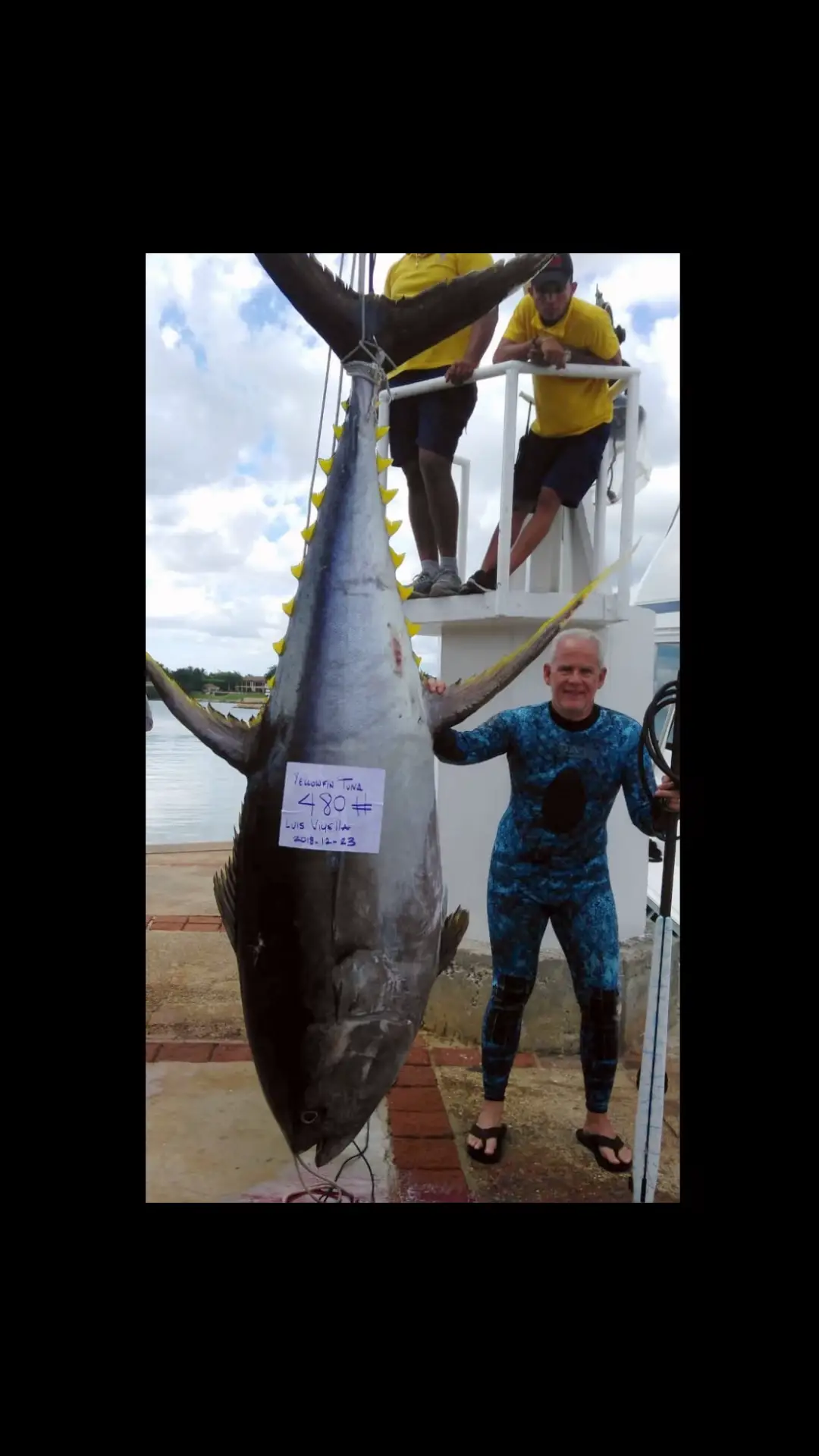 On December 23rd, 2018 in the Dominican Republic, Luis Viyella, along with the crew aboard the Lady Shell, achieved a monumental feat in the world of spearfishing by capturing the largest Yellowfin Tuna ever recorded. This impressive fish weighed in at an astounding 480 pounds, measuring 109 inches in length and 62 inches in width. The experience, as described by Luis Viyella, ‘was unforgettable.’ Spearfishing in blue waters for the first time, Viyella never expected to encounter, let alone capture, a world record Yellowfin Tuna. It was a combination of skill, knowledge, and, as Luis puts it, ‘a bit of luck.’ Aclassic!!  #fishing #fish #fishinglife #bluewater #nature  #fishingislife #angler #fisherman #fishingtrip #tuna #fishingaddict #bigfish  #saltwaterfishing #fishingdaily #fishon #sea #spearfishing #worldrecord #spearfishing_international #spearfishing_reviews #record 