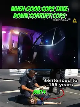 Part 4| When Good Cops Take Down Corrupt Cops