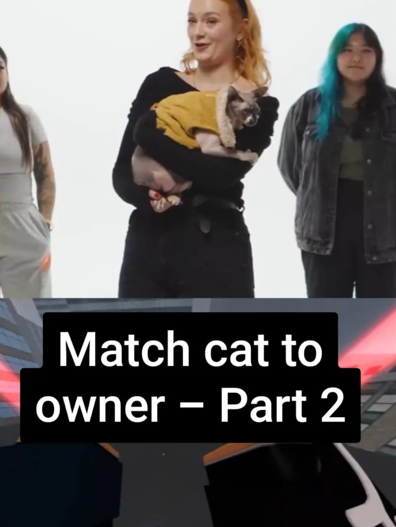 Match cat to owner - Part 2 #fyp #foryou #foryoupage #cat #catsoftiktok #cats #catlover