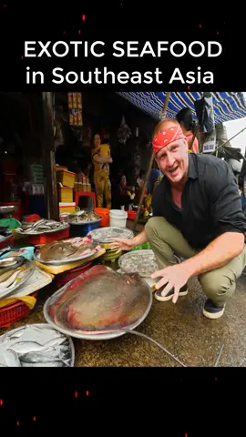 EXOTIC SEAFOOD in Southeast Asia You Cant Find This Anywhere (EP1)✅️#besteverfoodreviewshow #trending #Recipe #fyp #eatingsounds #mukbangs #asmr #mukprank #cooking #viral #foryou #foodreview 