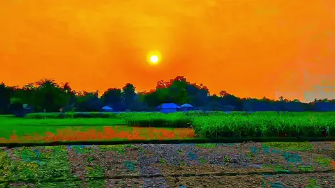 Sunset,,,!!🖤🌹🥰 #siyam #cinesiyam #cine_siyam_04 #cinematic #videography #cinematography #tiktokbd #tiktokworld #foryoupage #viral #natural_view #sunset 